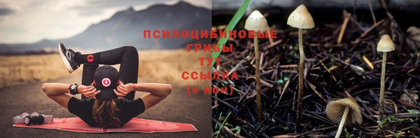 бошки Армянск