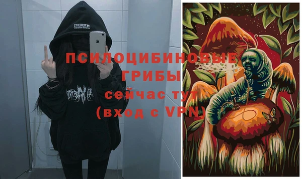 прущие крисы Арсеньев