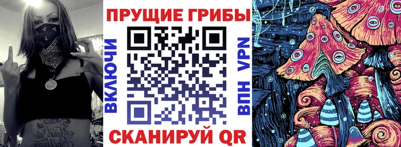 где купить   Минусинск  Галлюциногенные грибы мухоморы 